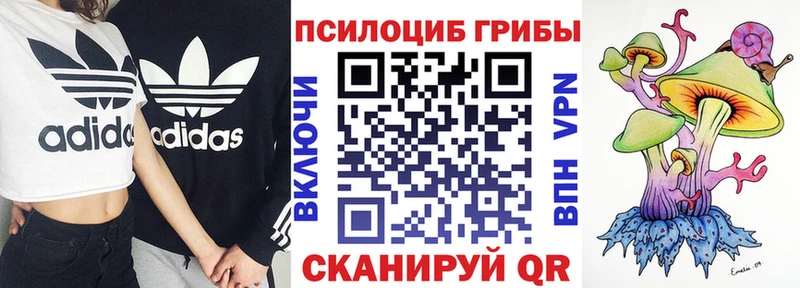 Галлюциногенные грибы Psilocybine cubensis  Купить где  Череповец 